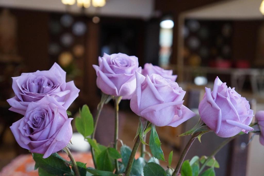 Don Ramon Hotel & Spa 카넬라 외부 사진
